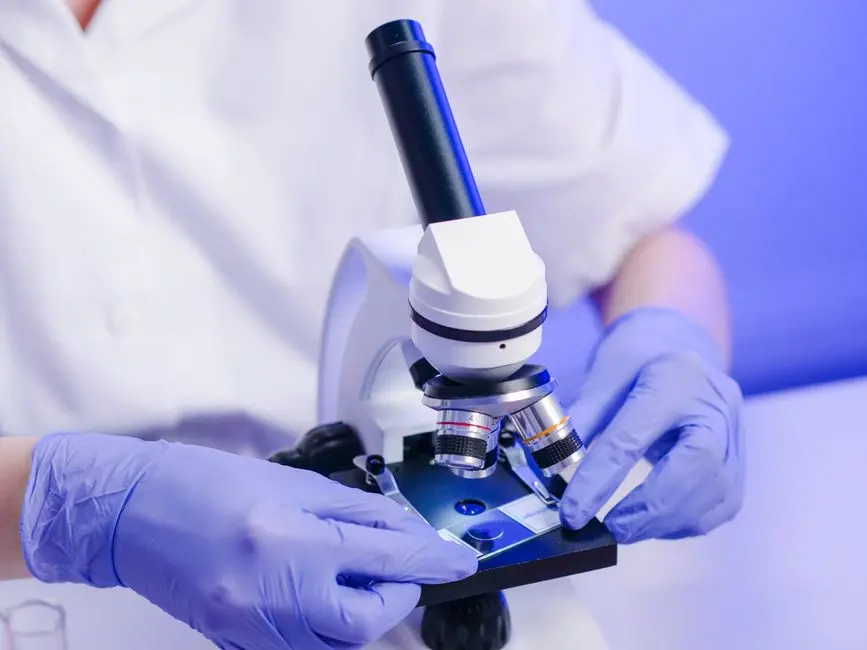 Beyond Ethics: Elevating Scientific Rigor and Data Validity